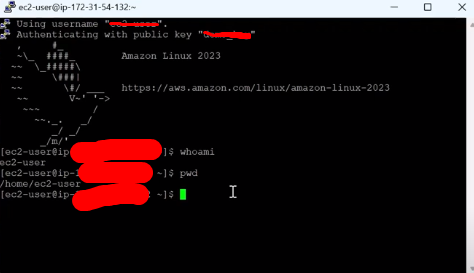 Establish connection to Amazon EC2
